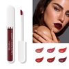 Brillant à lèvres mat Luquid pour les arts du maquillage avec un développement de couleur longue durée